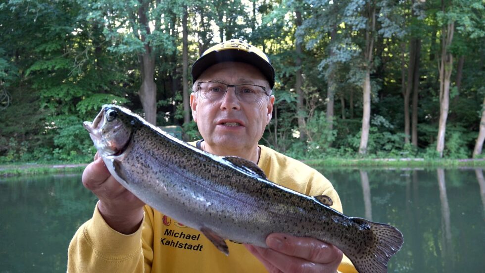 Forellenangeln im Nachtigallental MikesBigTrouts