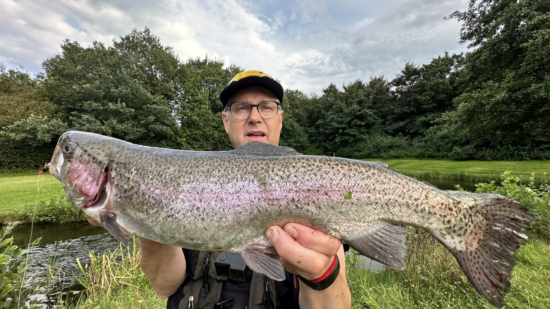 Tolle Lachsforelle aus der Fliegenau. Gefangen auf einen schwarz/goldenen Streamer.