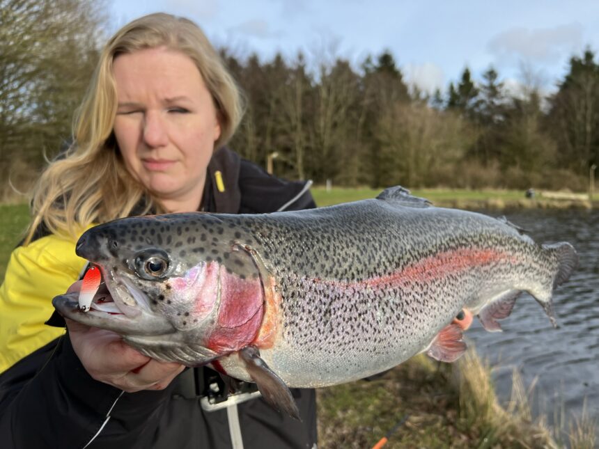 Ricarda mit herrlicher Lachsforelle aus dem kleinen See in Arrild Fiskesø.