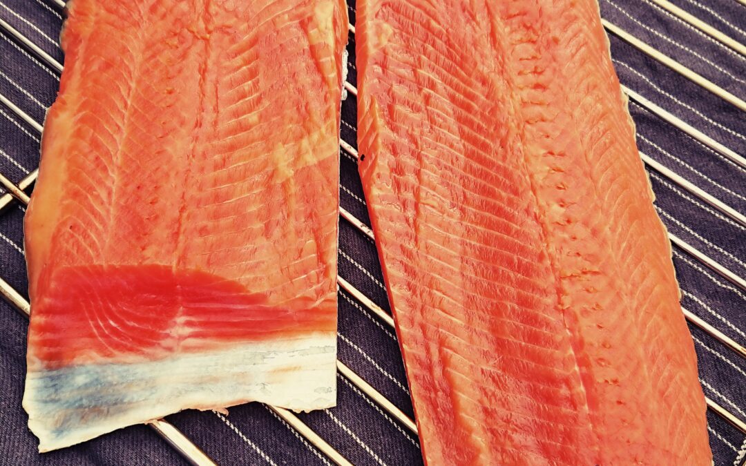 Räuchern - Kalt geräucherte Lachsforellenfilets - noch auf dem Rost