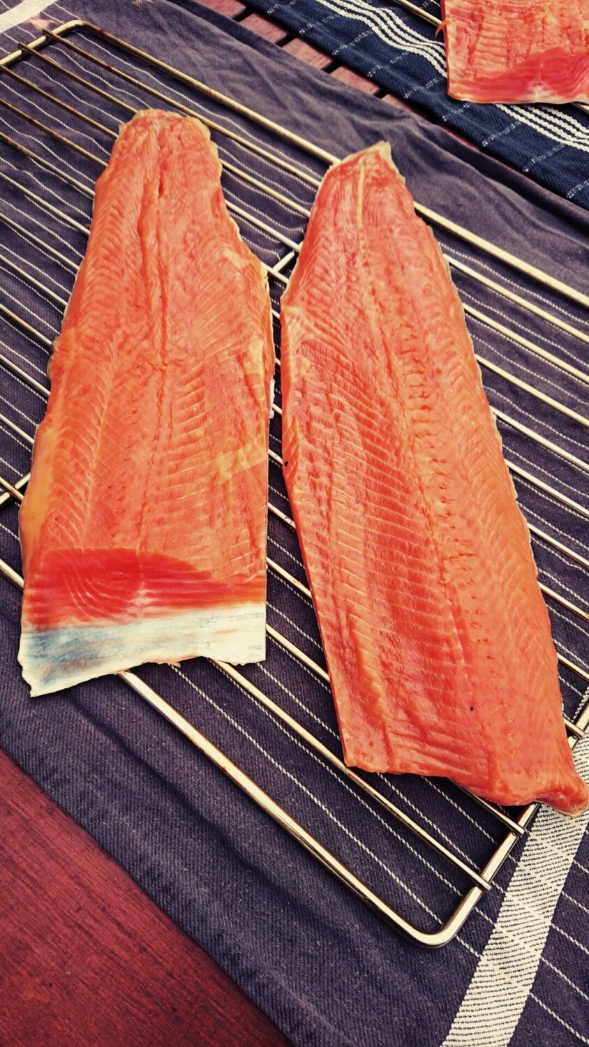 Räuchern - Kalt geräucherte Lachsforellenfilets - noch auf dem Rost