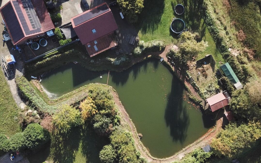 Forellenteich Meyenburg in Lähden