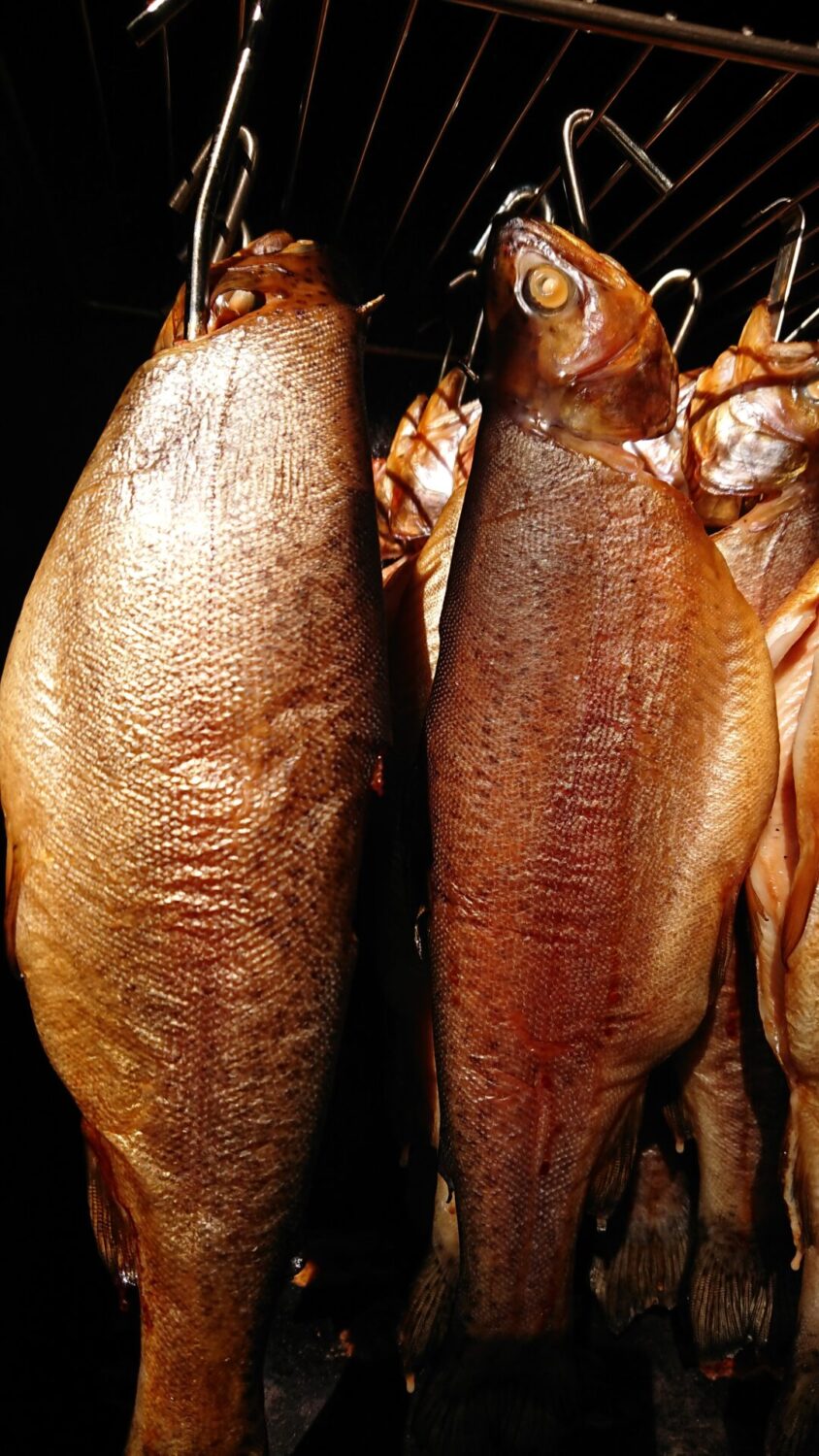 Räuchern -Goldbraune Forellen im Räucherofen