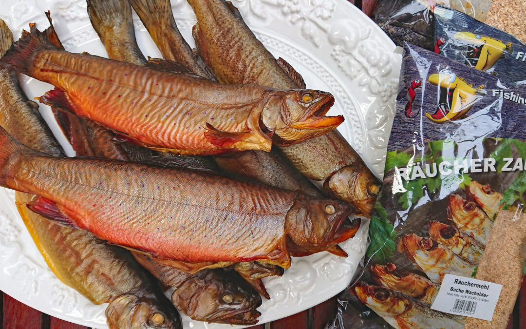 Räuchern - geräucherter Saibling 1